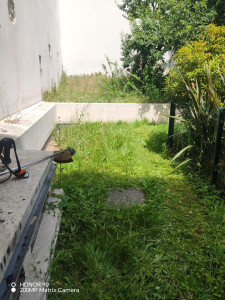 Photo de galerie - Aménagement du jardin avant