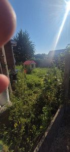 Photo de galerie - Terrain à tondre + désherbage (orties et autres) pour permettre aux enfants de profiter à nouveau du jardin. Avec évacuation.