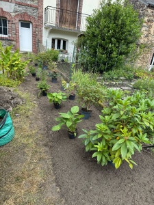Photo de galerie - Paysagiste - Aménagement du jardin