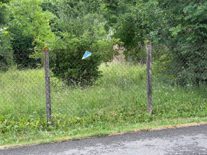 Photo de galerie - Débroussaillage et taillage des arbres 