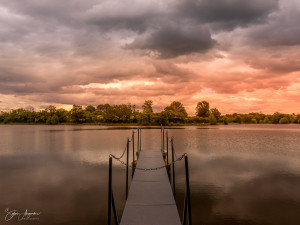 Photo de galerie - Photographe
