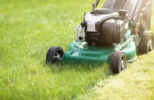 Photo de galerie - Tonte pelouse 