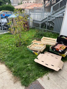 Photo de galerie - Tonte de pelouse - Débroussaillage