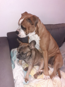 Photo de galerie - Ruby et Yumi