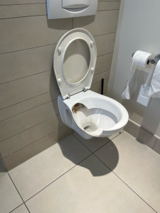 Photo de galerie - Remplacement de cuvette cassée ou fuite quelconque ( exemple en photo ) 