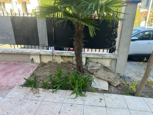 Photo de galerie - Paysagiste - Aménagement du jardin