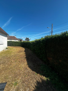 Photo de galerie - Taille de haies et d'arbustes