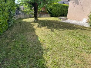 Photo de galerie - Tonte de pelouse 