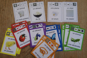 Photo de galerie - Jeu des sept familles pour GS maternelle 