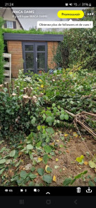 Photo de galerie - Elagage et coupe d'arbres