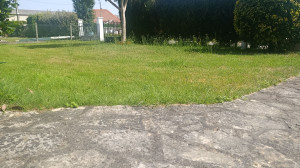 Photo de galerie - Le jardin avant