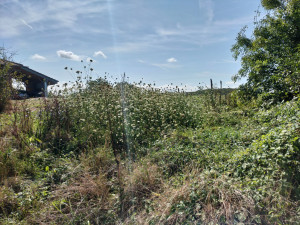 Photo de galerie - Avant 