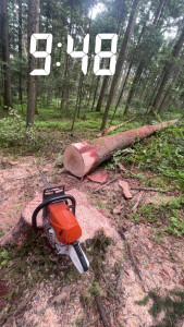 Photo de galerie - Bucheronnage 