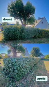 Photo de galerie - Taille