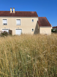 Photo de galerie - Débroussaillage hauteur 1m / 500m2 