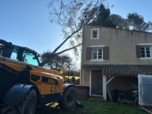 Photo de galerie - Élagage d’un arbres tomber après orages 