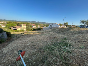 Photo de galerie - Débroussaillage 1800m2