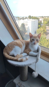 Photo de galerie - Sacha ( 2 semaines) 