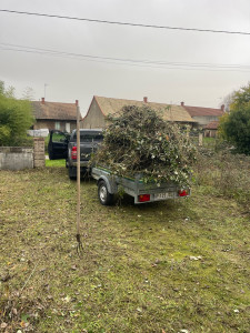 Photo de galerie - Débroussaillage