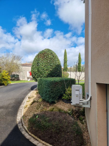 Photo de galerie - Taille de haies et d'arbustes