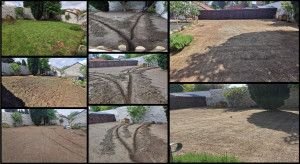 Photo de galerie - Paysagiste - Aménagement du jardin