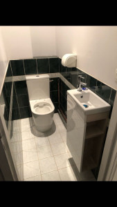 Photo de galerie - Installation toilette et lavabo