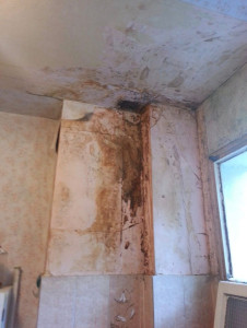 Photo de galerie - Photo avant sbd