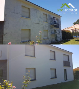 Photo de galerie - Peinture / Enduit