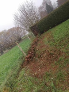 Photo de galerie - Paysagiste - Aménagement du jardin