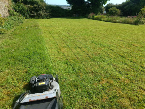 Photo de galerie - Tonte