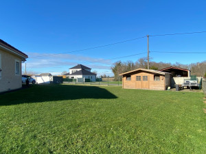 Photo de galerie - Tonte de pelouse