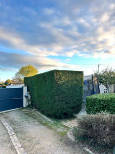 Photo de galerie - Taille d’une haie