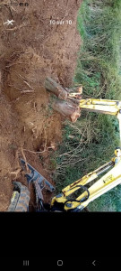 Photo de galerie - Enlèvement de souche à la mini pelle

