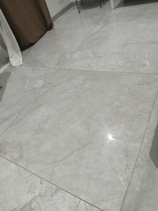 Photo de galerie - Ménage. repassage. le tri .promenade des animaux.  .accompagnée et aide les les personnes âgées (aide à domicile).