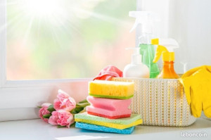 Photo de galerie - Bonjour , 
Je propose mes services pour du ménage et du repassage à domicile. 
Sérieuse, ponctuelle et appliquée, j’ai de l’expérience dans ce domaine et je m’adapte aux besoins de chaque famille.