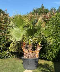 Photo de galerie - Paysagiste - Aménagement du jardin