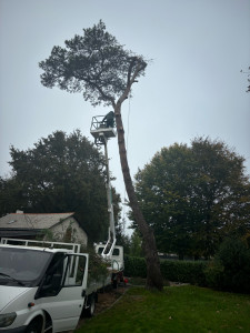 Photo de galerie - Abattage avec nacelle 