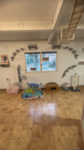 Photo de galerie - Notre espace escalade