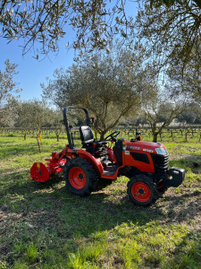 Photo de galerie - Nettoyage d’une oliveraie