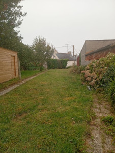 Photo de galerie - Elagage et coupe d'arbres