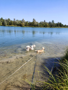 Photo de galerie - Balzac en baignade avec Hadès 