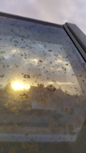 Photo de galerie - Ménage