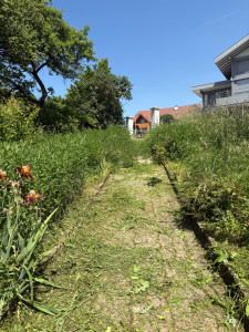 Photo de galerie - Tonte de pelouse - Débroussaillage