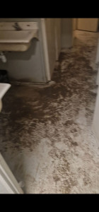 Photo de galerie - Ménage