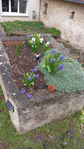 Photo de galerie - Désherbage 