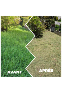 Photo de galerie - Tonte de pelouse - Débroussaillage