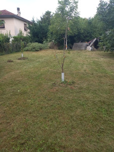 Photo de galerie - Cliente très satisfaite