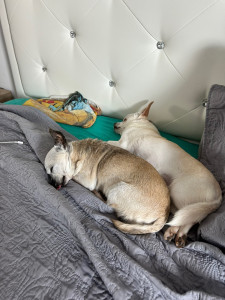 Photo de galerie - Ivoir et fun