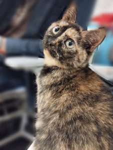 Photo de galerie - Disponible ?