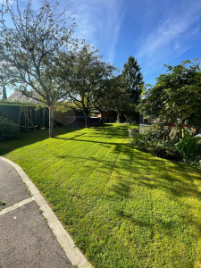 Photo de galerie - Tonte gazon